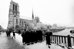 Blanche neige à Notre dame de Paris