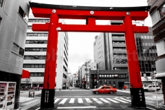 Taxi torii