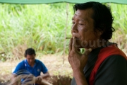 cigarette wayampi - Guyane