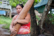 Filtrage du manioc avec la couleuvre - Guyane