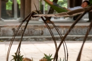 Fruits en attente de porteur - Vietnam - Ninh Binh