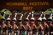 16 tribus du Nagaland au  Hornbill festival - Inde