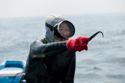 Ama crochet - Toshijima - Japon