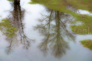 Impression d'arbres - Pont canal de Briare