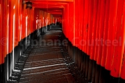 Vertige au Fushimi inari taisha - Japon