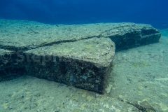 Tortue  - Ruines sous marines de Yonaguni - Okinawa