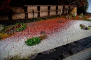 Nanzen ji apres la pluie - Japon